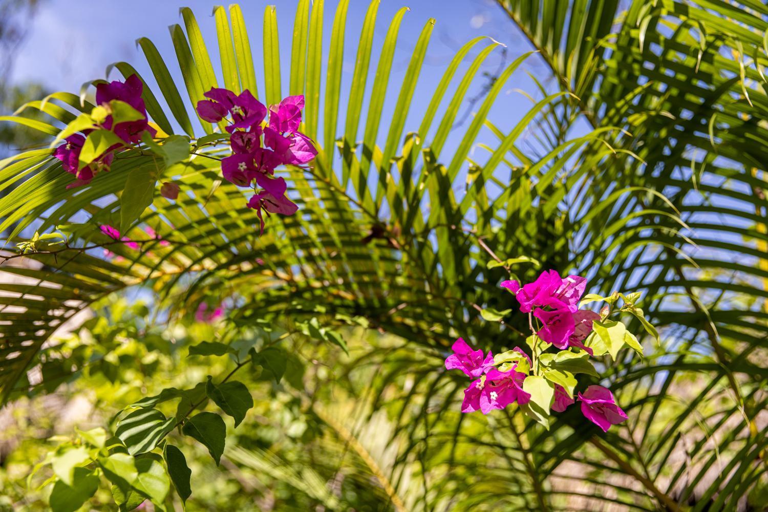 Kampot Cabana Exteriör bild